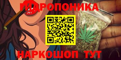 МДПВ Обнинск