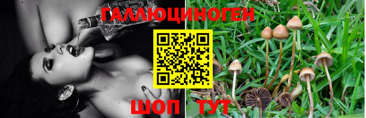 Псилоцибиновые грибы прущие грибы  Вход с VPN  Галлюциногенные грибы MAGIC MUSHROOMS  Трёхгорный 